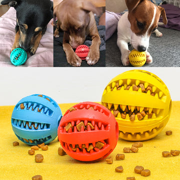 Pet Slow Feeder Dog Toy Cute Funny Rubber Dog Ball Toy - Pet La'Fleur