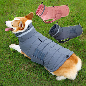 Warm Thicken Dog Vest Custom Labrador Jacket Winter Waterproof Coat - Pet La'Fleur