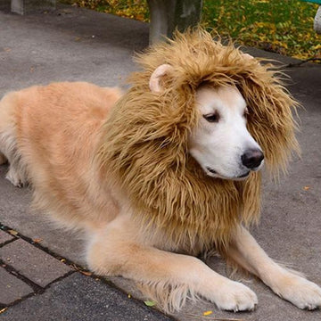 Cute Pet Cosplay Clothes Transfiguration Costume Lion Mane Winter Warm Wig Cat Large Dog Party Decoration With Ear Pet Apparel - Pet La'Fleur