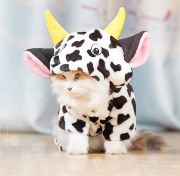 Winter Cat Clothes Coat Cow Costumes Thickening Pet Cat Clothes Fleece Cartoon Sweater - Pet La'Fleur