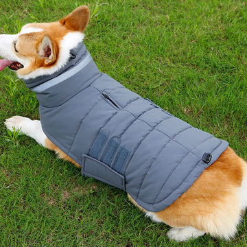 Warm Thicken Dog Vest Custom Labrador Jacket Winter Waterproof Coat - Pet La'Fleur