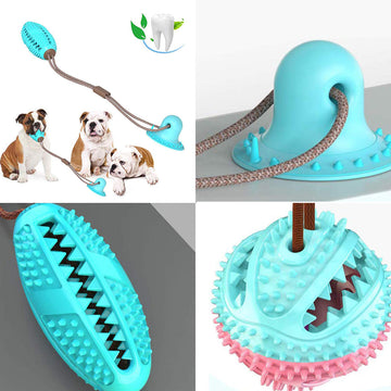 Silicon Suction Cup Tug Interactive Dog Ball Toy Chew Bite Tooth Cleaning Toothbrush Feeding - Pet La'Fleur